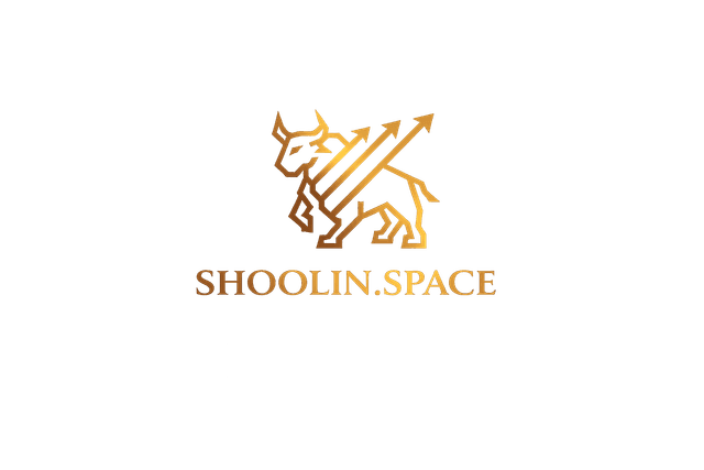 Shoolin Space